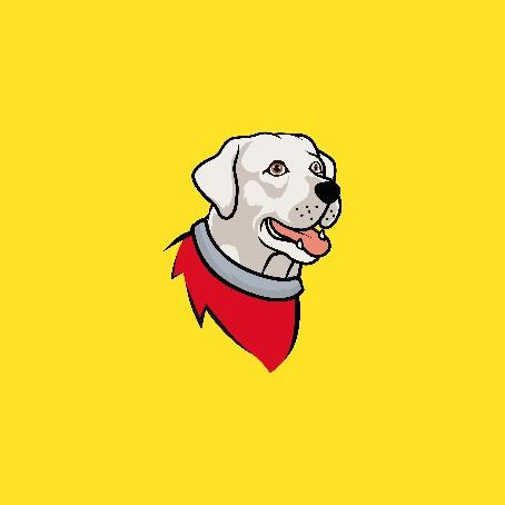 A dog with a collar on

AI-generated content may be incorrect.