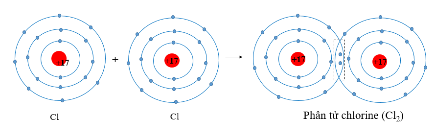 BÀI 8. QUY TẮC OCTET