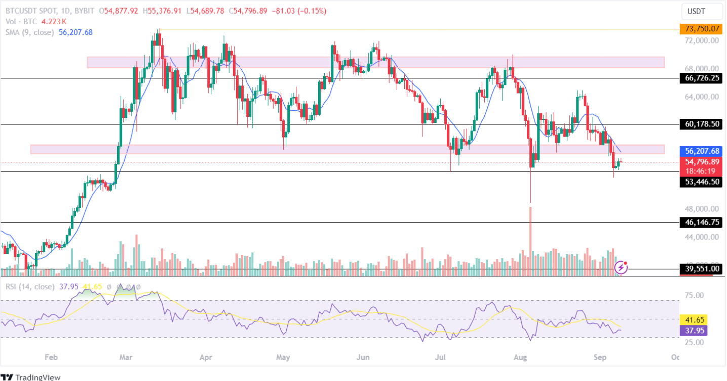 Bitcoin Price Analysis September 2024