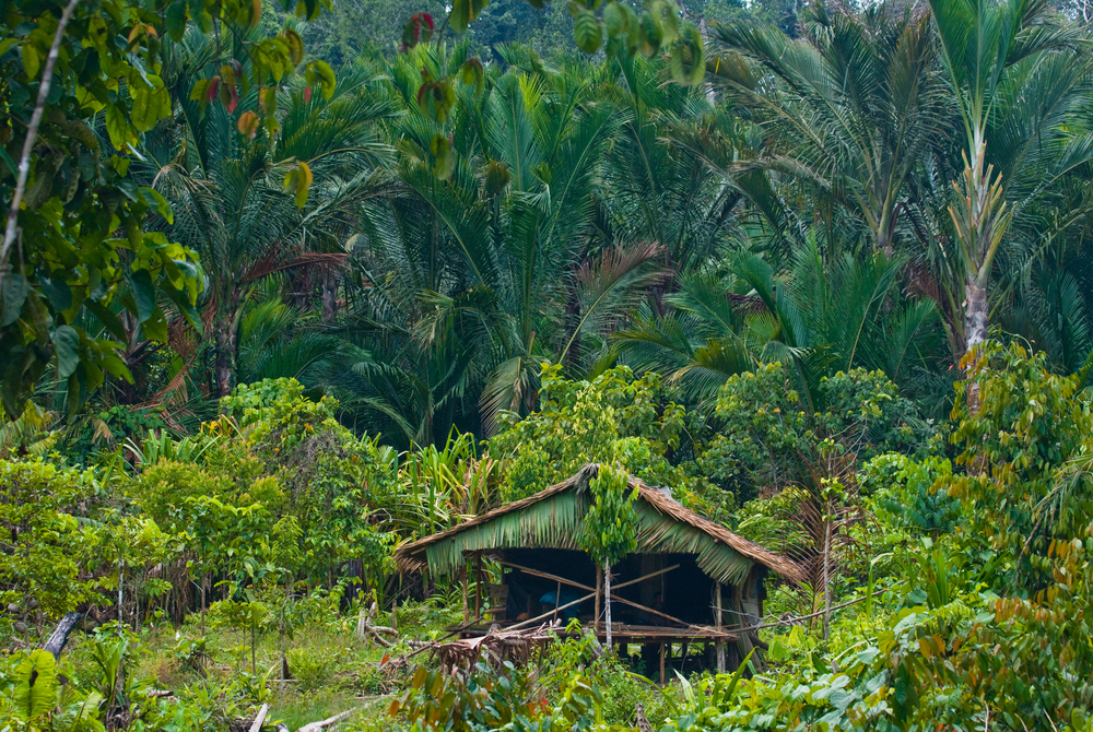 Mentawai Islands, Indonesia