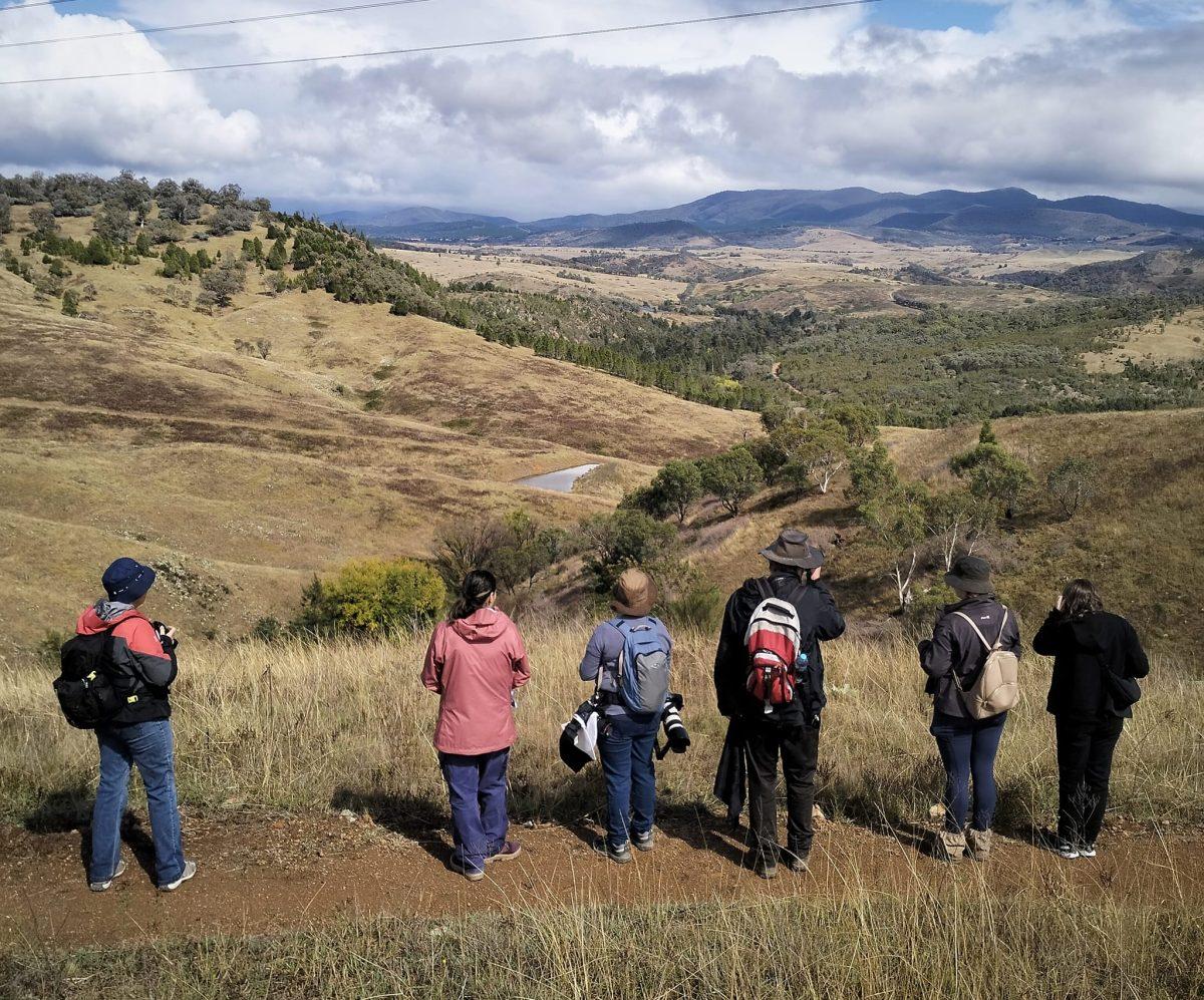 People survey the new Ginninderry walking tracks