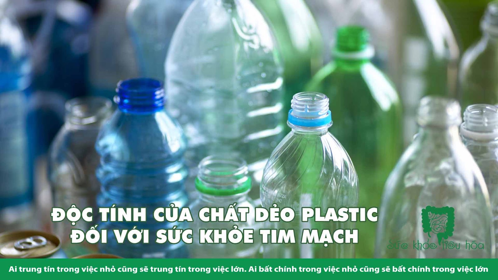 ĐỘC TÍNH CỦA CHẤT DẺO PLASTIC ĐỐI VỚI SỨC KHỎE TIM MẠCH