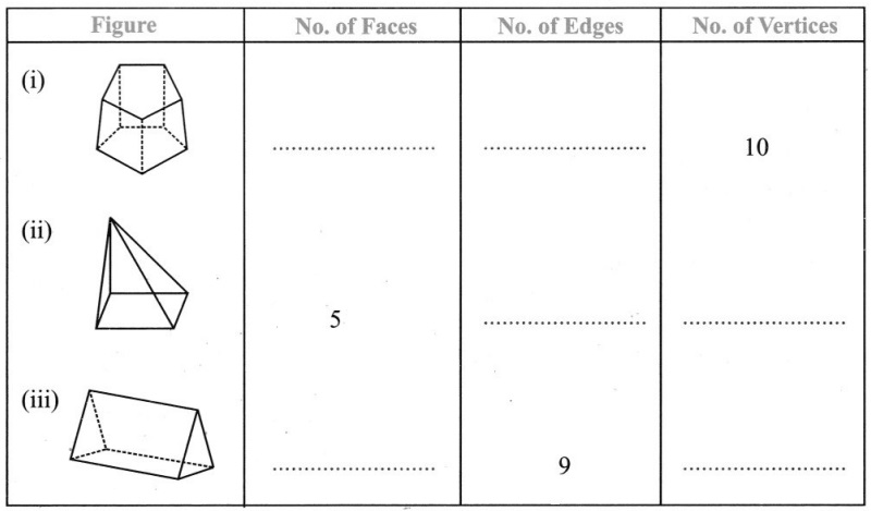 CBSE Class 7 Maths Visualising Solid Shapes Worksheets 5