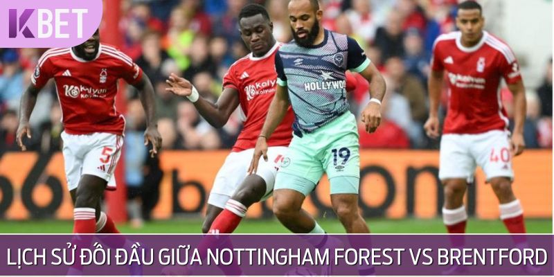 minh hoạ lịch sử đối đầu giữa nottingham forest vs brentford