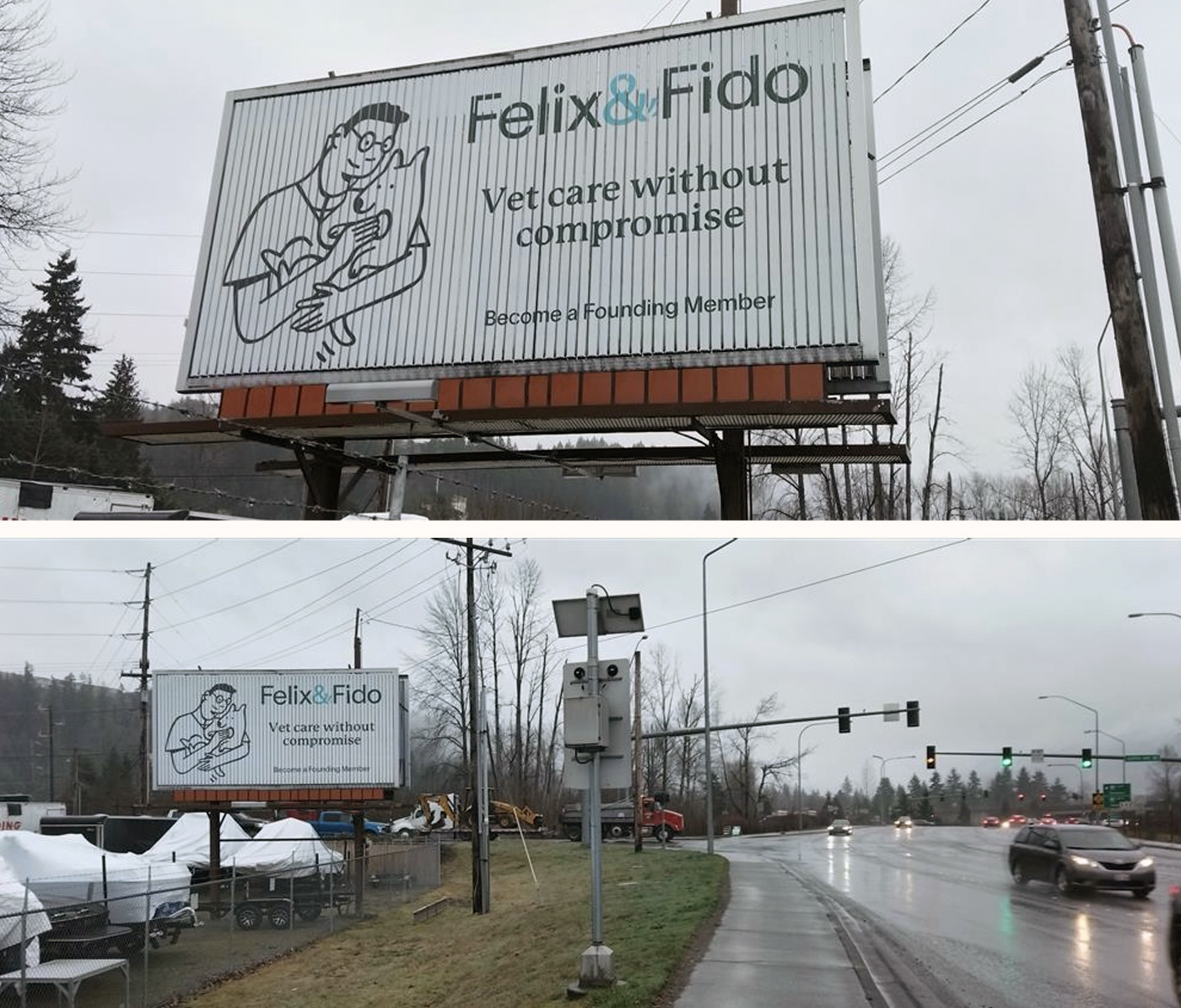 Alluvit Media's Washington billboard campaign for Felix and Fido