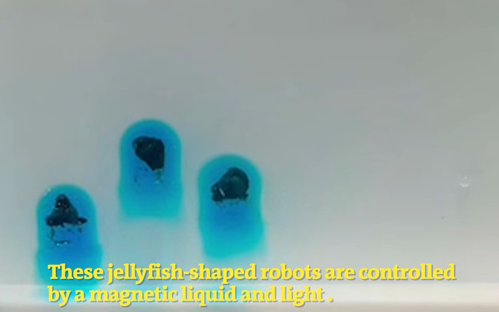 Blue liquid in a white surface

Description automatically generated with medium confidence