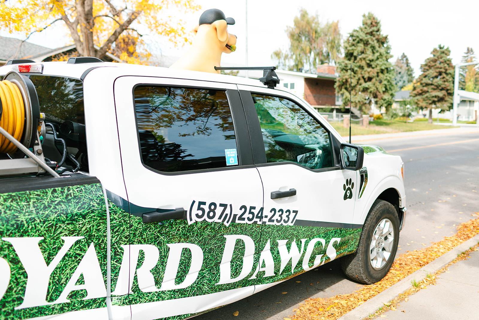 Lawn Care Services from Yard Dawgs