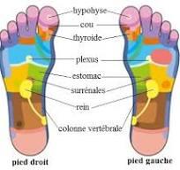 Soigner son stress grâce à la réflexologie - Heev