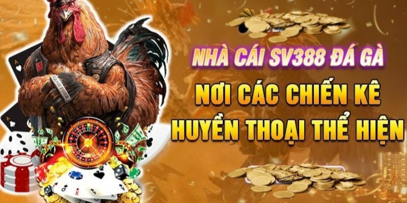 Hồi đáp của người chơi