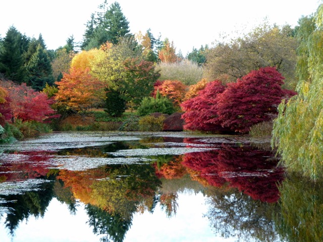 VanDusen Botanical Garden