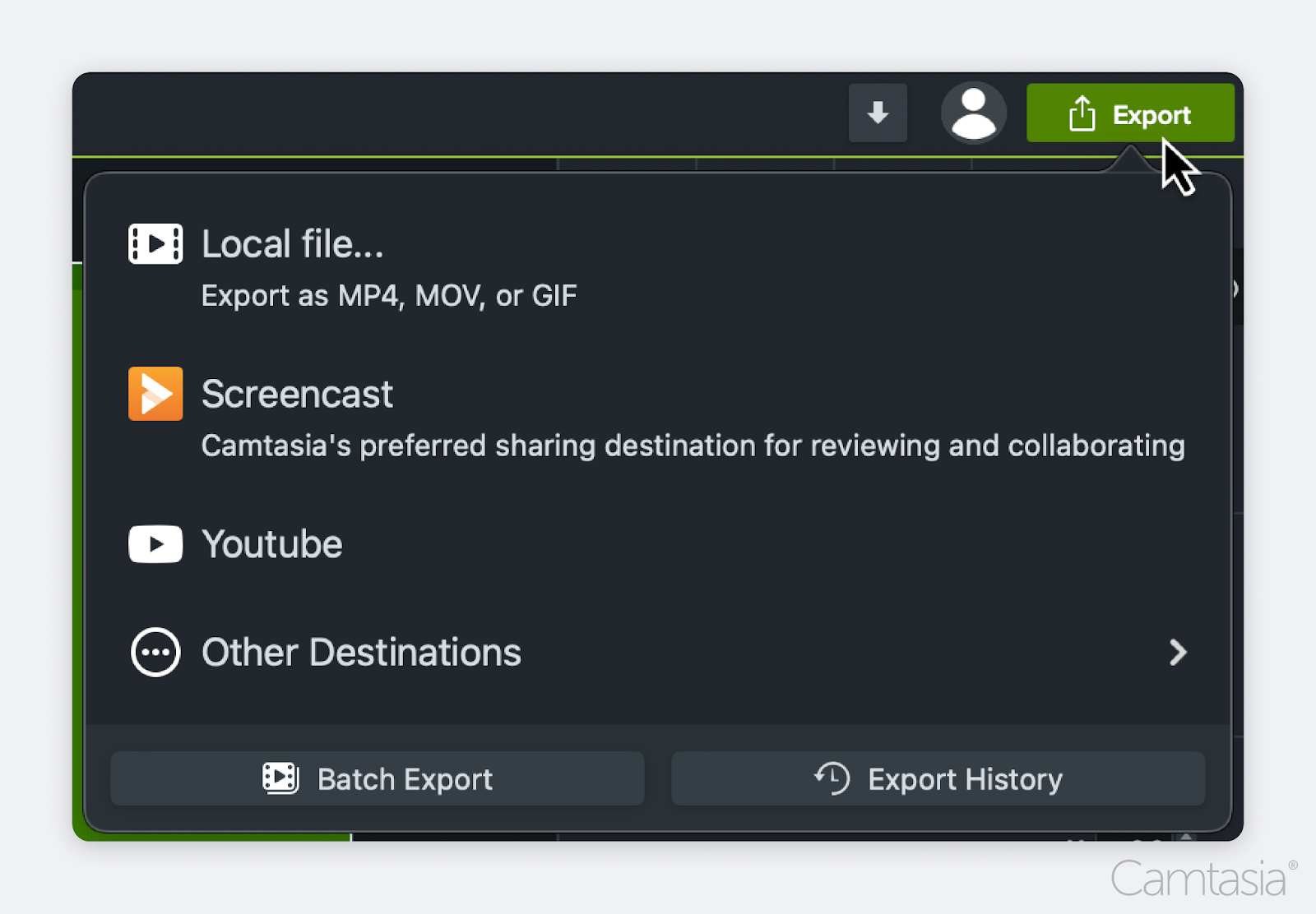 Camtasia's export options