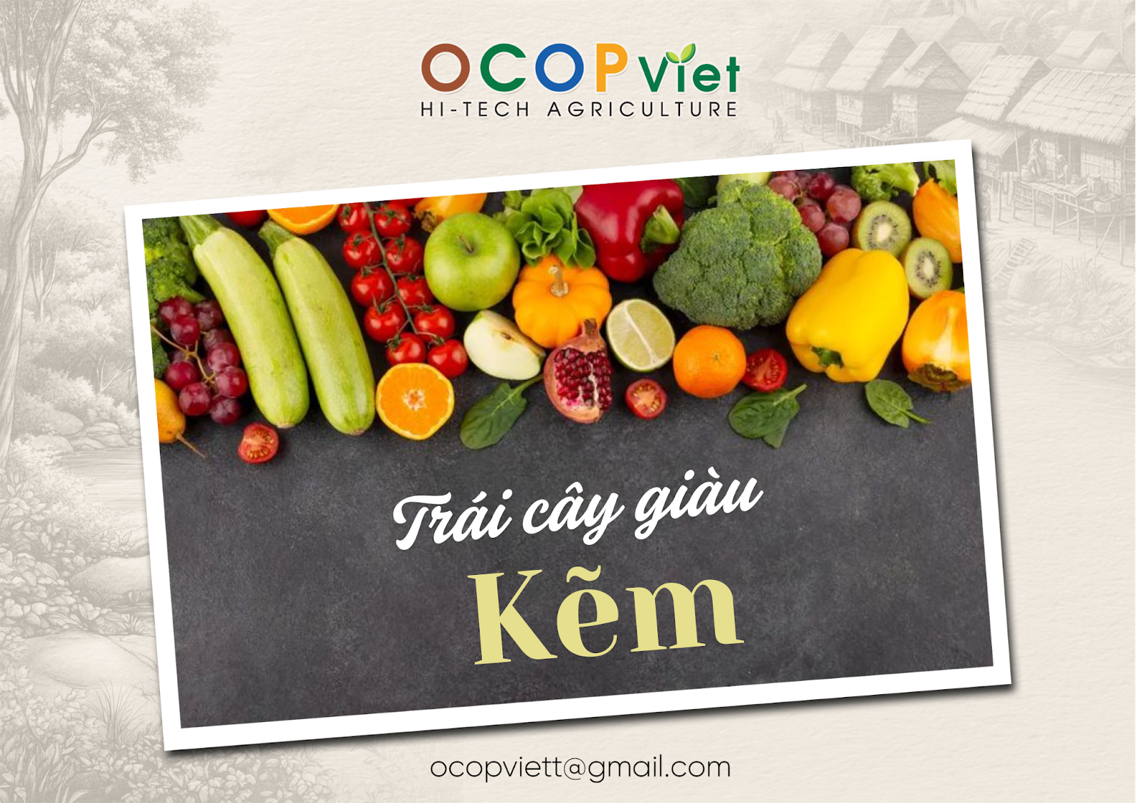 Trái Cây Giàu Kẽm