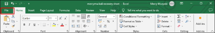 Click on File to create new Excel file