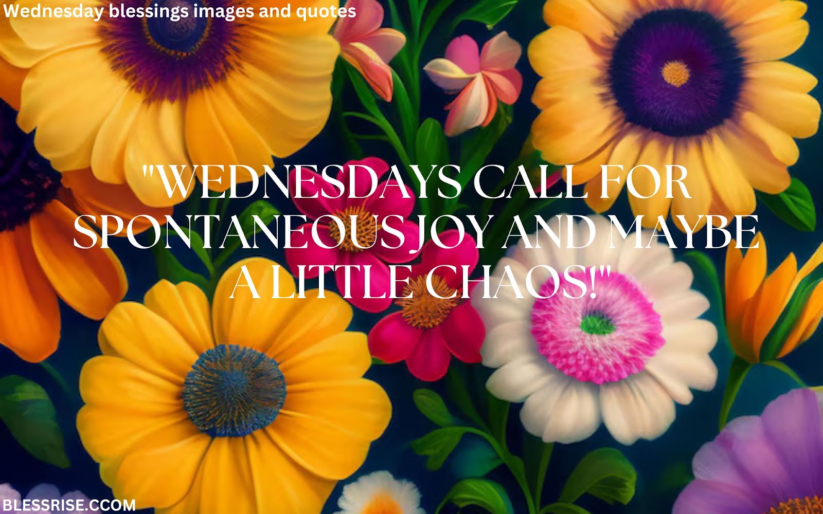 Wednesday quotes