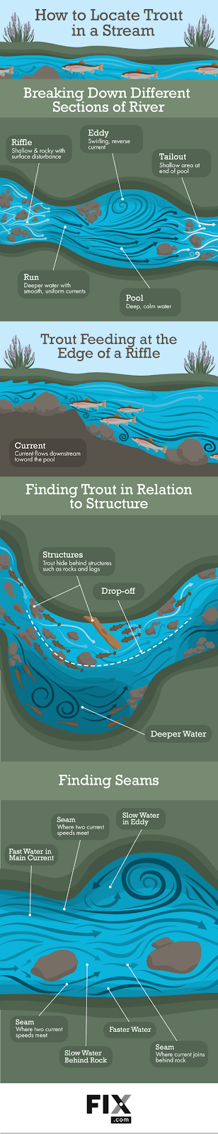 What to Look for When Trout Fishing: Essential Tips & Tricks