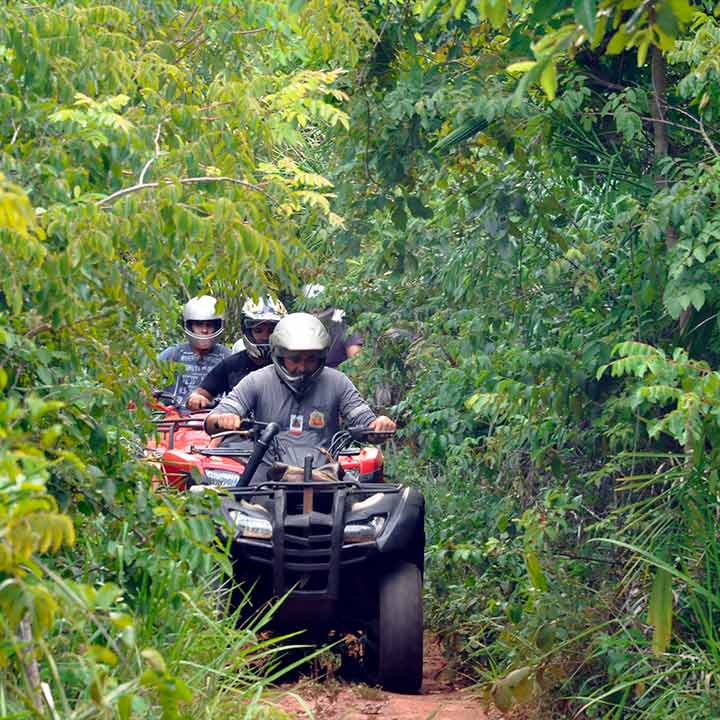 Grupo de pessoas praticando passeio de quadriciclo em uma trilha estreita rodeada de vegetação verde densa.