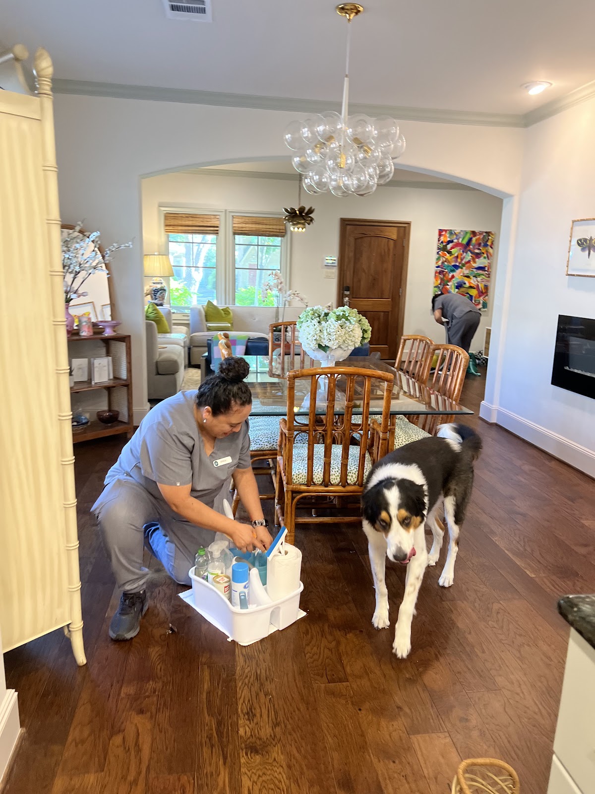  A Vella cleaning professional with eco-friendly cleaning products in a house neat the pet dog. 
