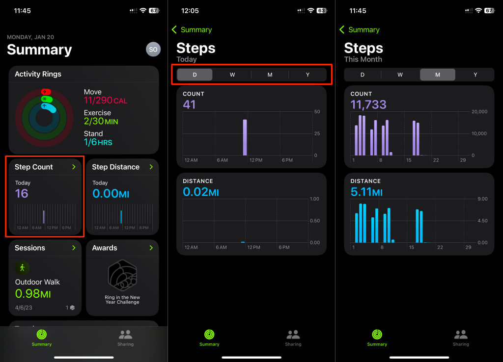 Steps to view Steps count in the iPhone Activity app