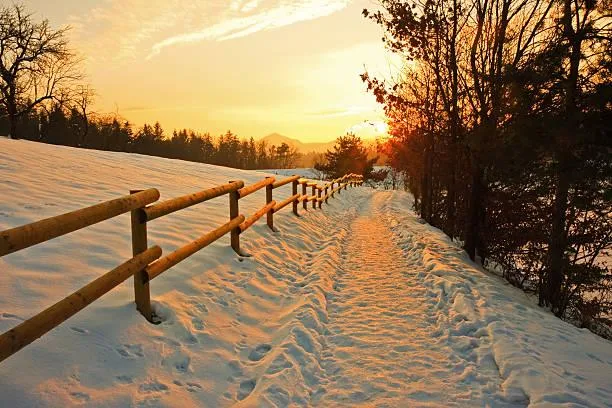 20 Landscapes with Perfect Light & Shadow Balance, balanced light, scenic contrast, nature, landscape, artistic nature, dynamic tones
