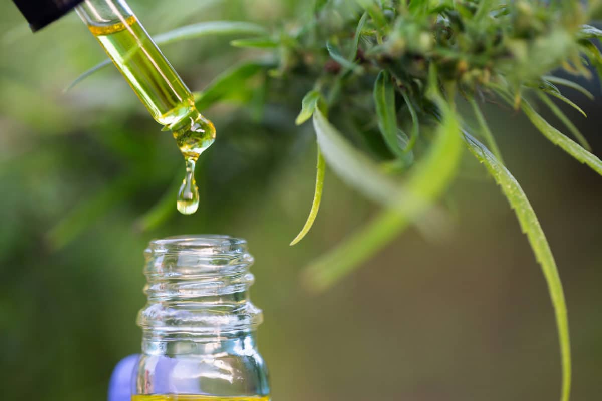 CBD Extraction and formulation is Poland