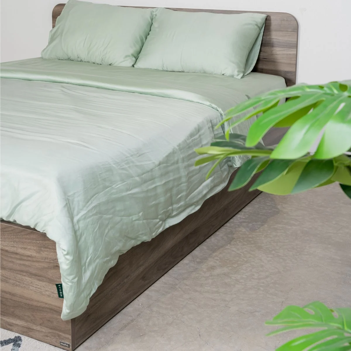Hình ảnh bài viết