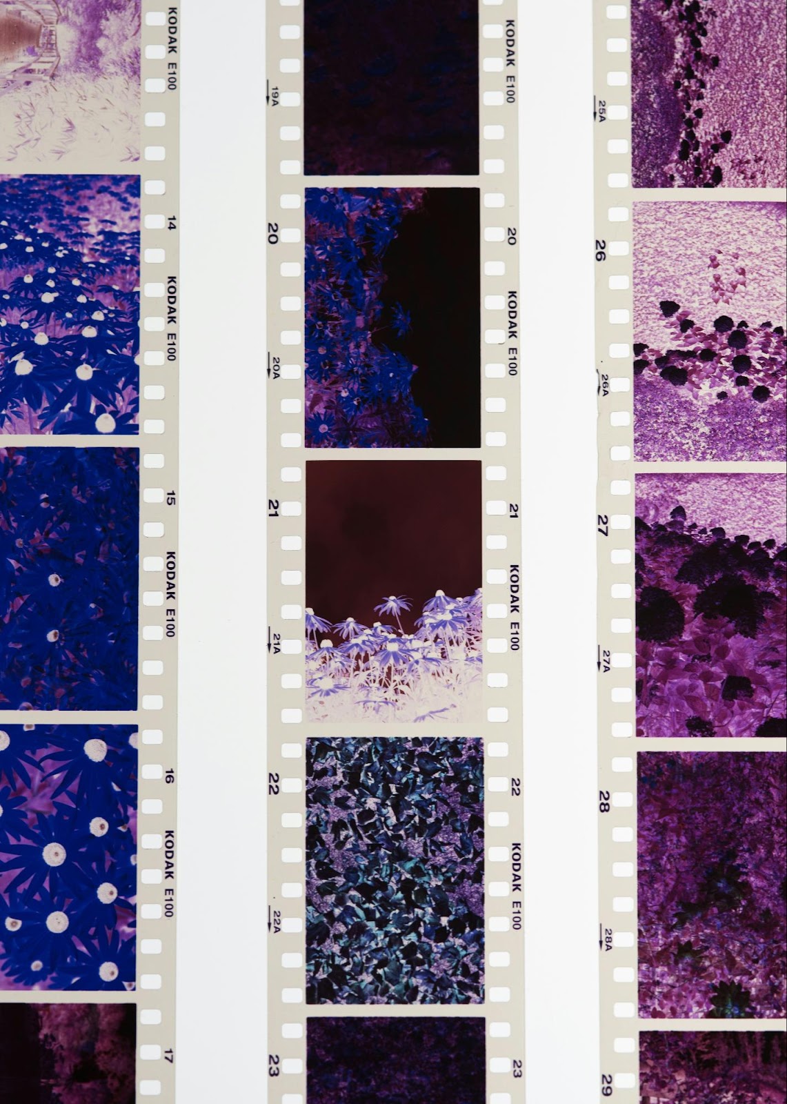 Illustration of a chromatography resin matrix