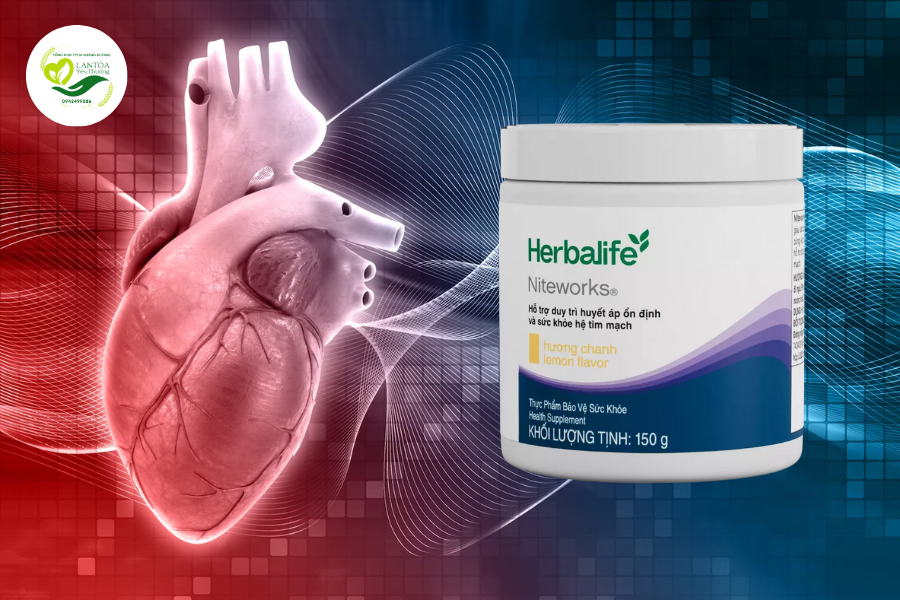 Giới thiệu về Niteworks Herbalife