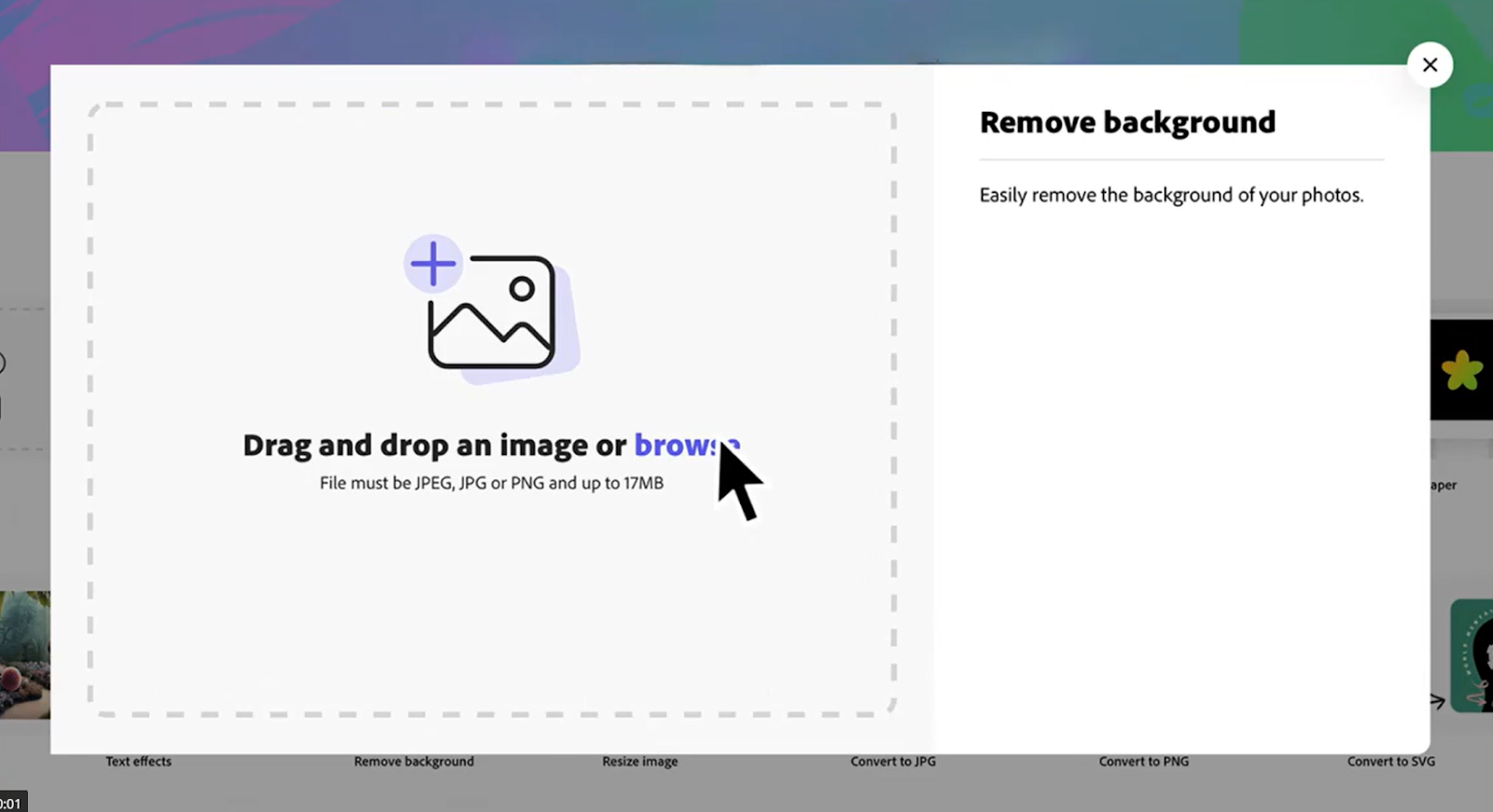 adobe express background removal tool setting