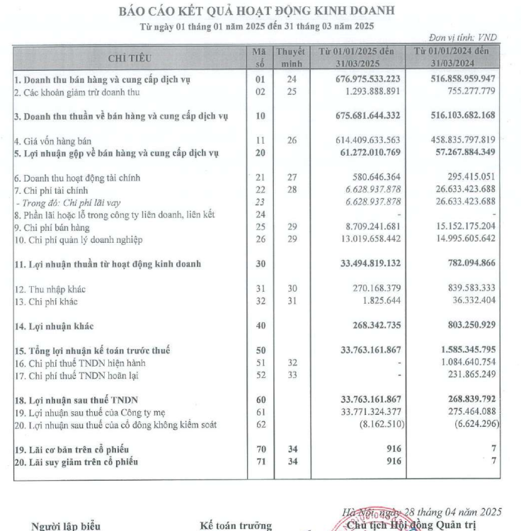 Tổng quan tình hình kinh doanh quý 1/2025 TMT (Nguồn: TMT)