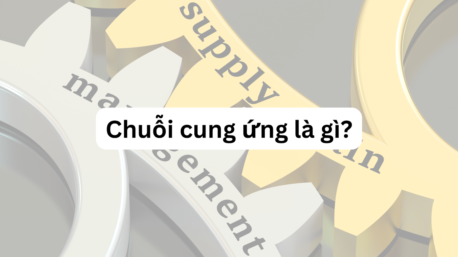 chuỗi cung ứng là gì