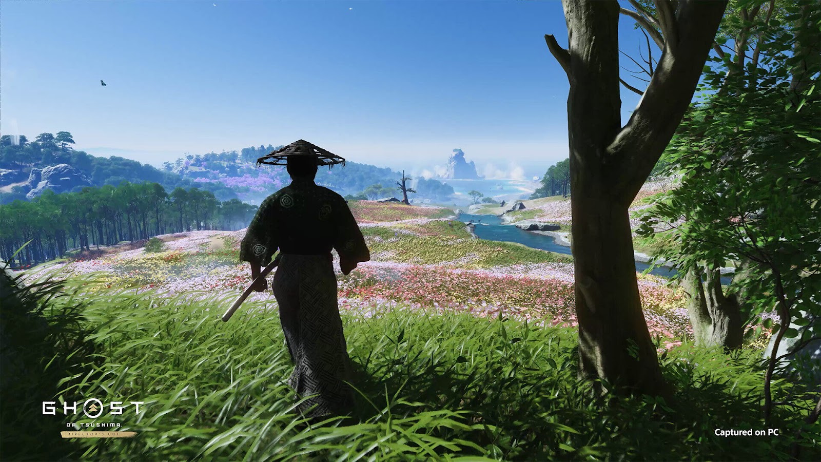 
Tsushima Island radiates the captivating beauty and rich heritage of feudal Japan.