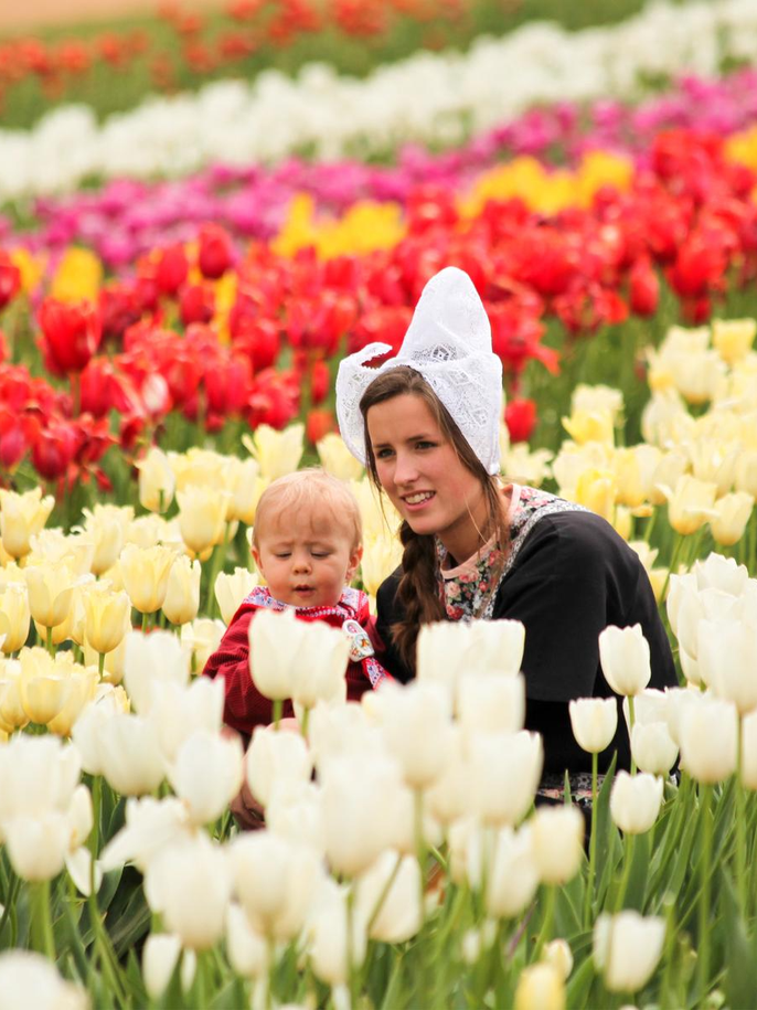 Top 5 Địa Điểm Ngắm Hoa Tulip Đẹp Nhất Châu Âu – Bạn Đã Biết Chưa?