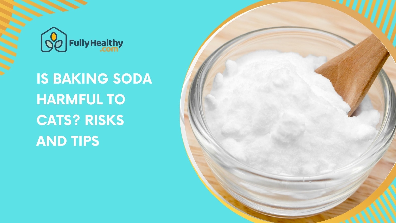 Is Baking Soda Harmful to Cats? Risks and Tips