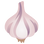 :garlic:
