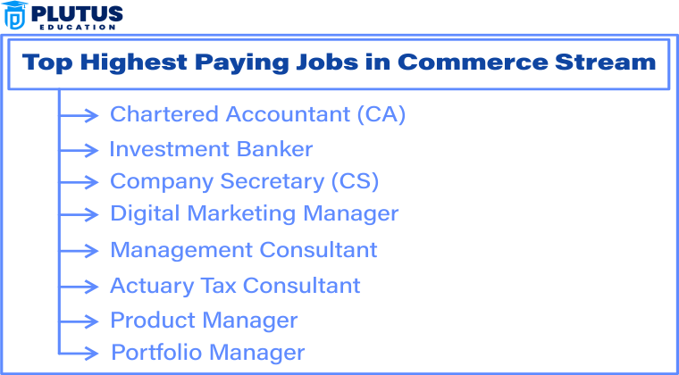 Highest Paying Jobs in Commerce