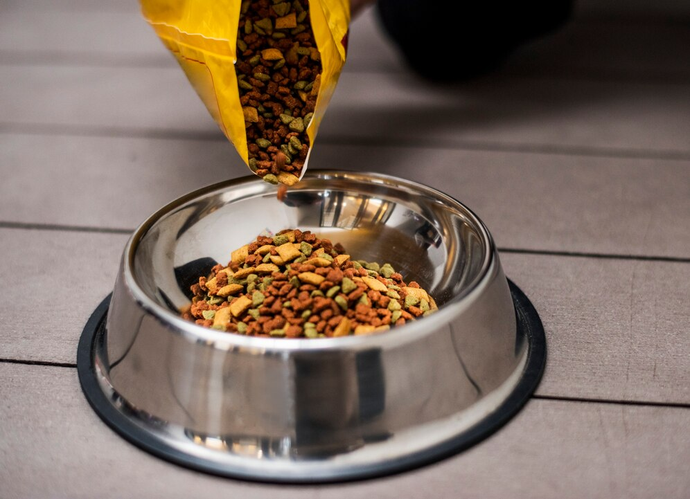 Online Pet Store in Pakistan