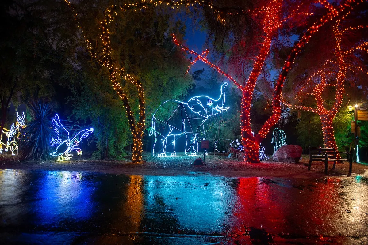 See Holiday Lights at the Phoenix Zoo in December