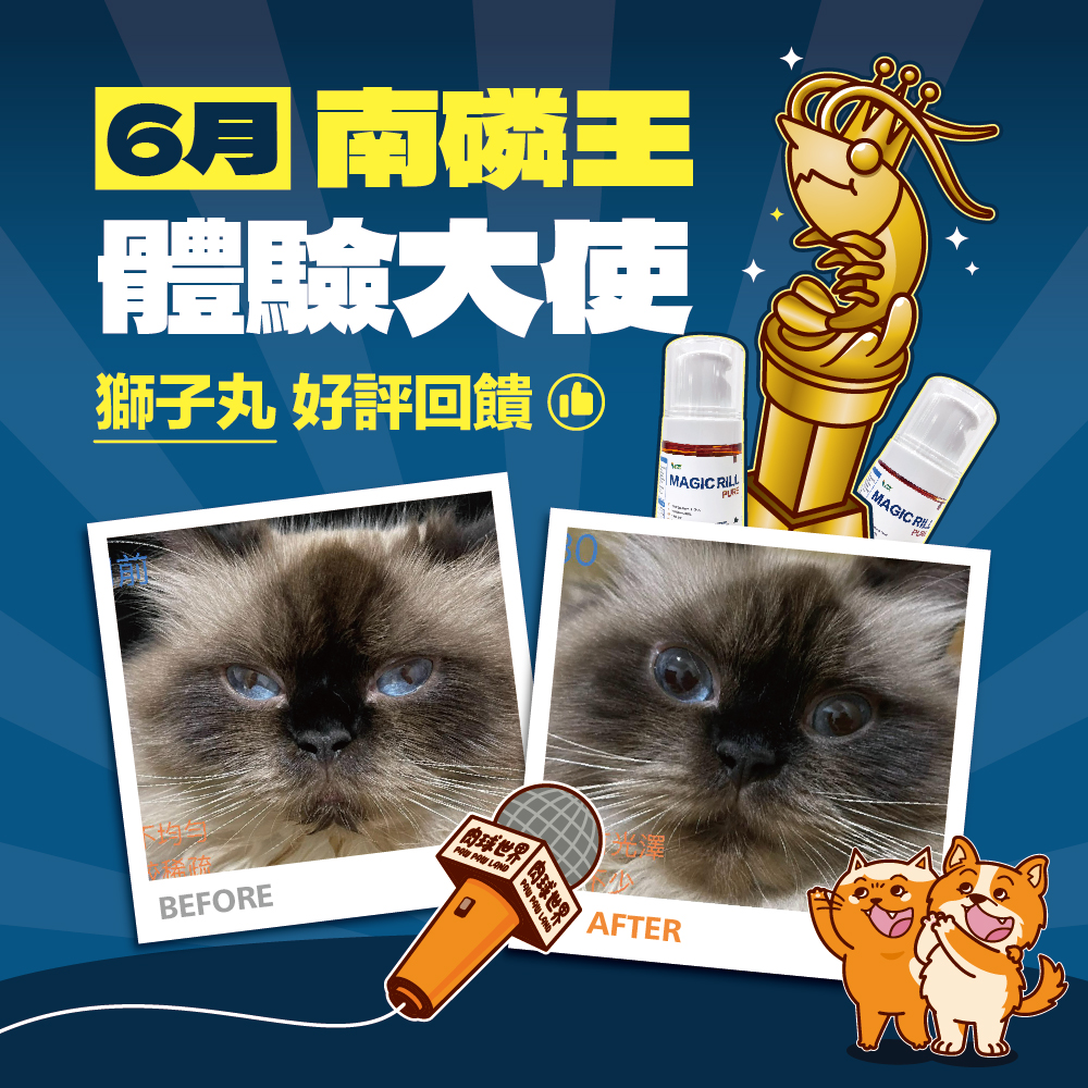 3. 好評回饋│獅子丸