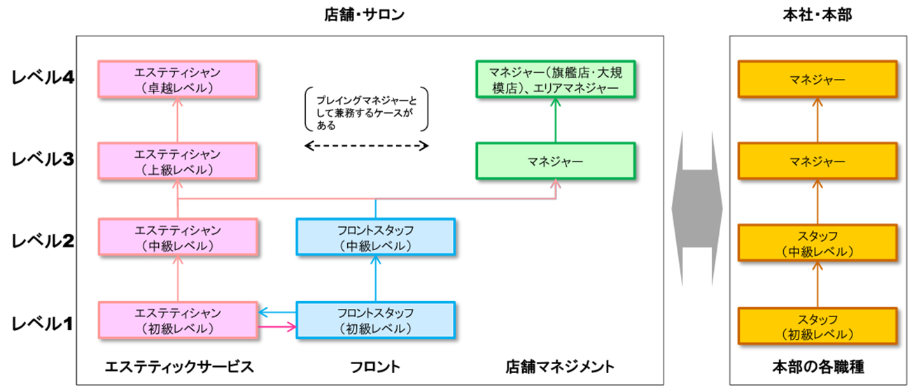 エステティシャンのキャリアマップ