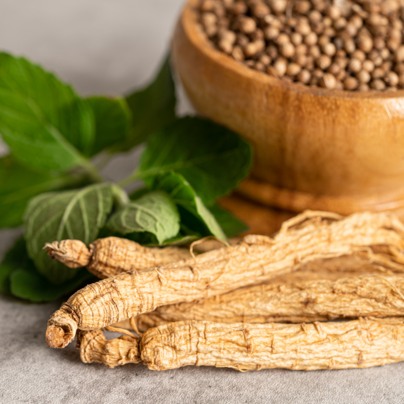 Ginseng, Dried Vegetable Herb. Healthy Food. Famous Export Food.