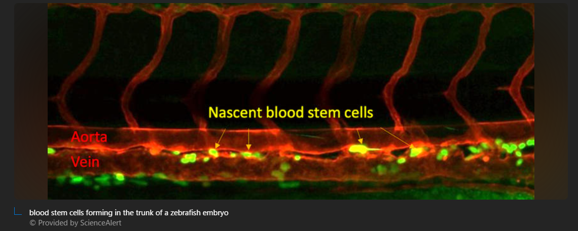 A red and green cells

Description automatically generated with medium confidence