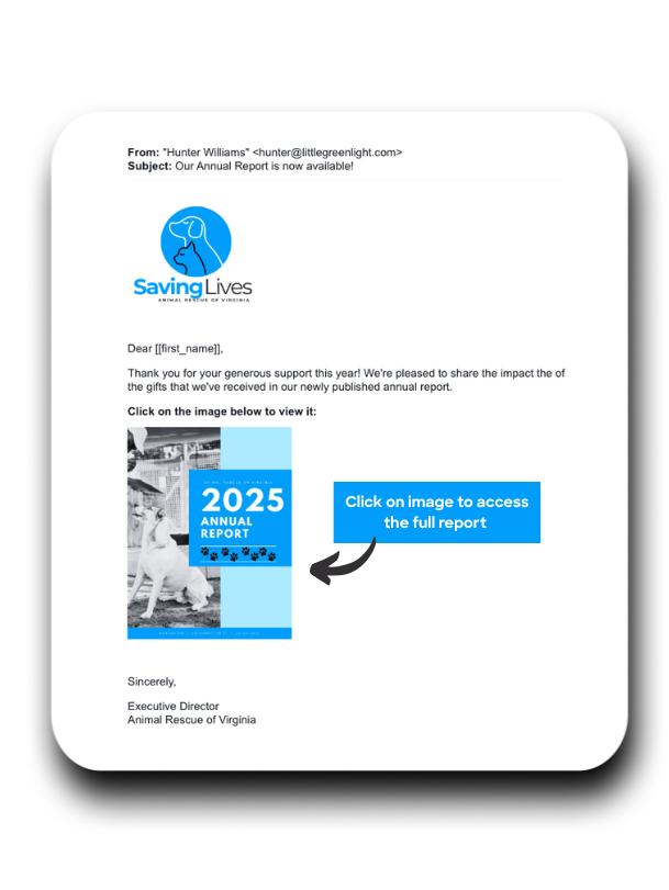 Sample annual report link