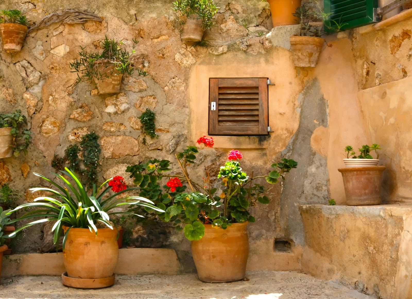 Plants In Pots Without Holes