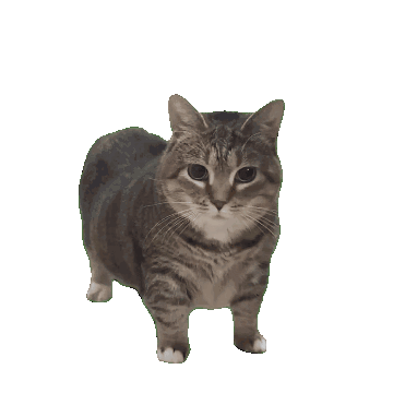 Uiia Cat with Microwave AI Effect