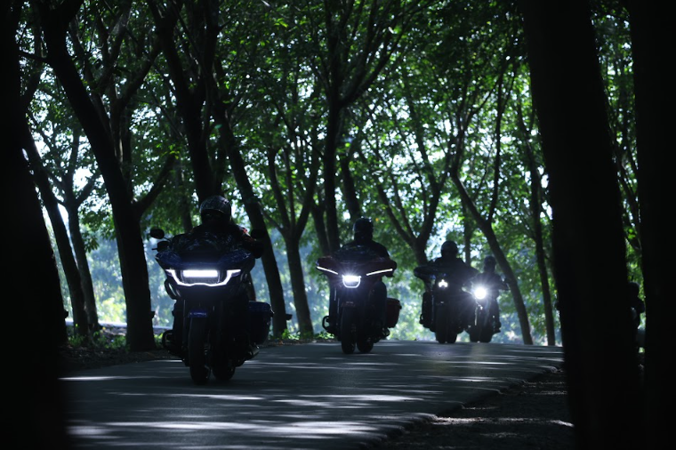 A group of people riding motorcycles on a road with trees

Description automatically generated