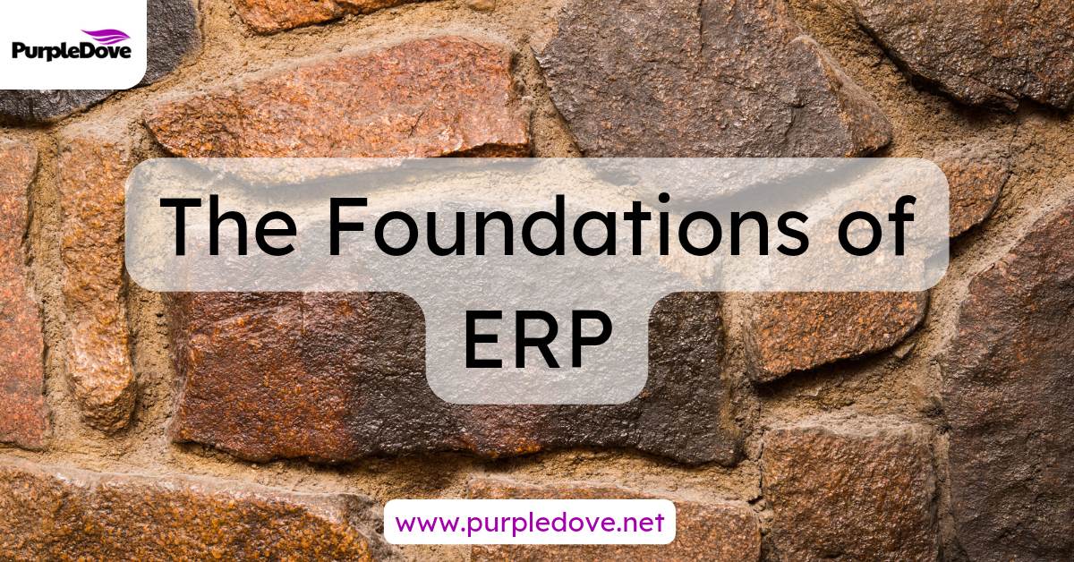 The Foundations and history of ERP systems