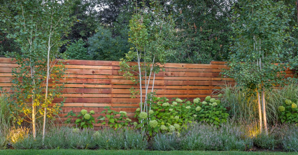 Fences Covered in Plants