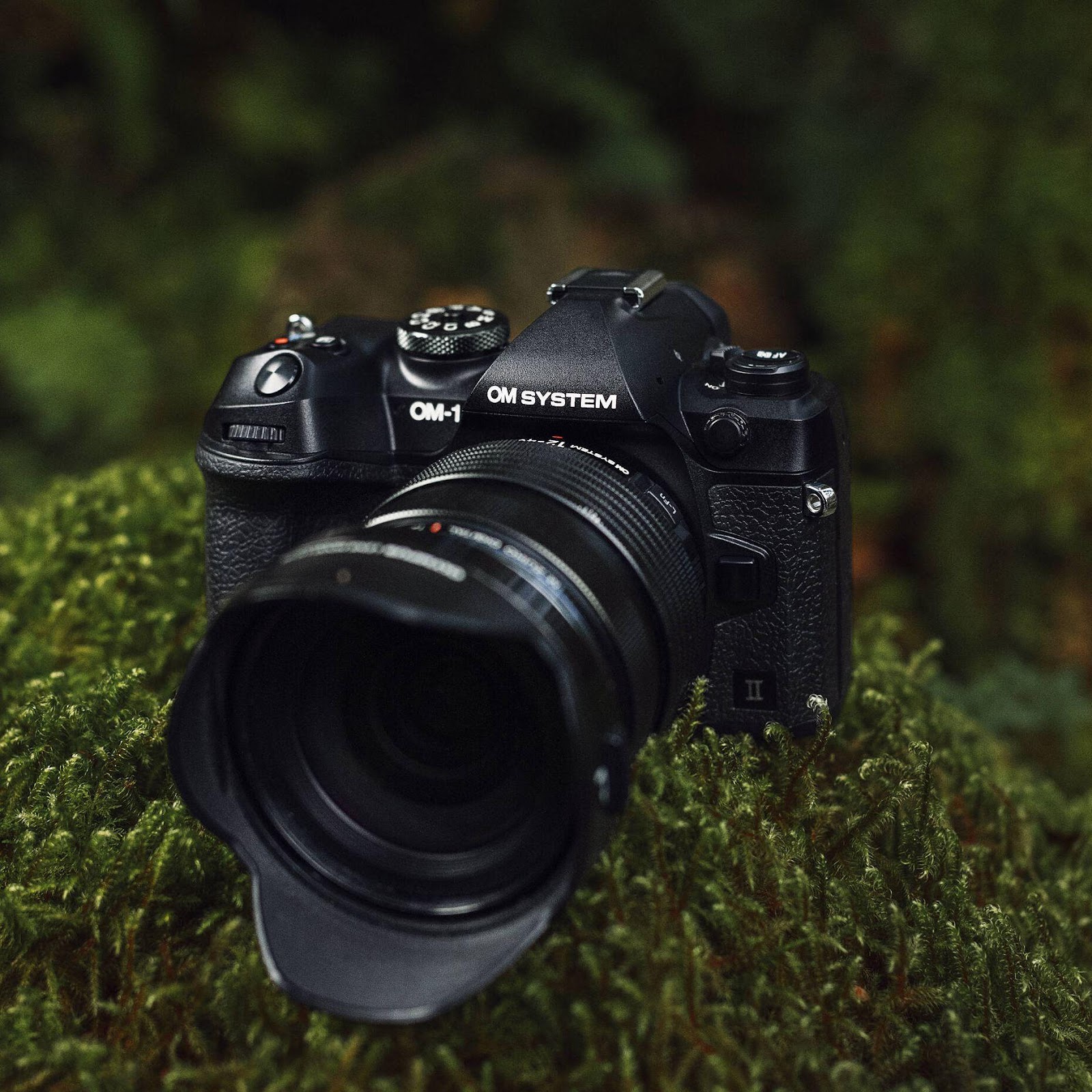A camera on a mossy surface

Description automatically generated