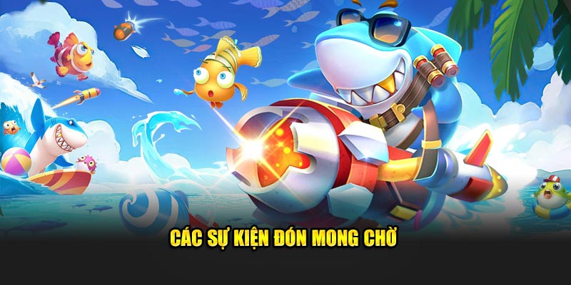 Các sự kiện đón mong chờ