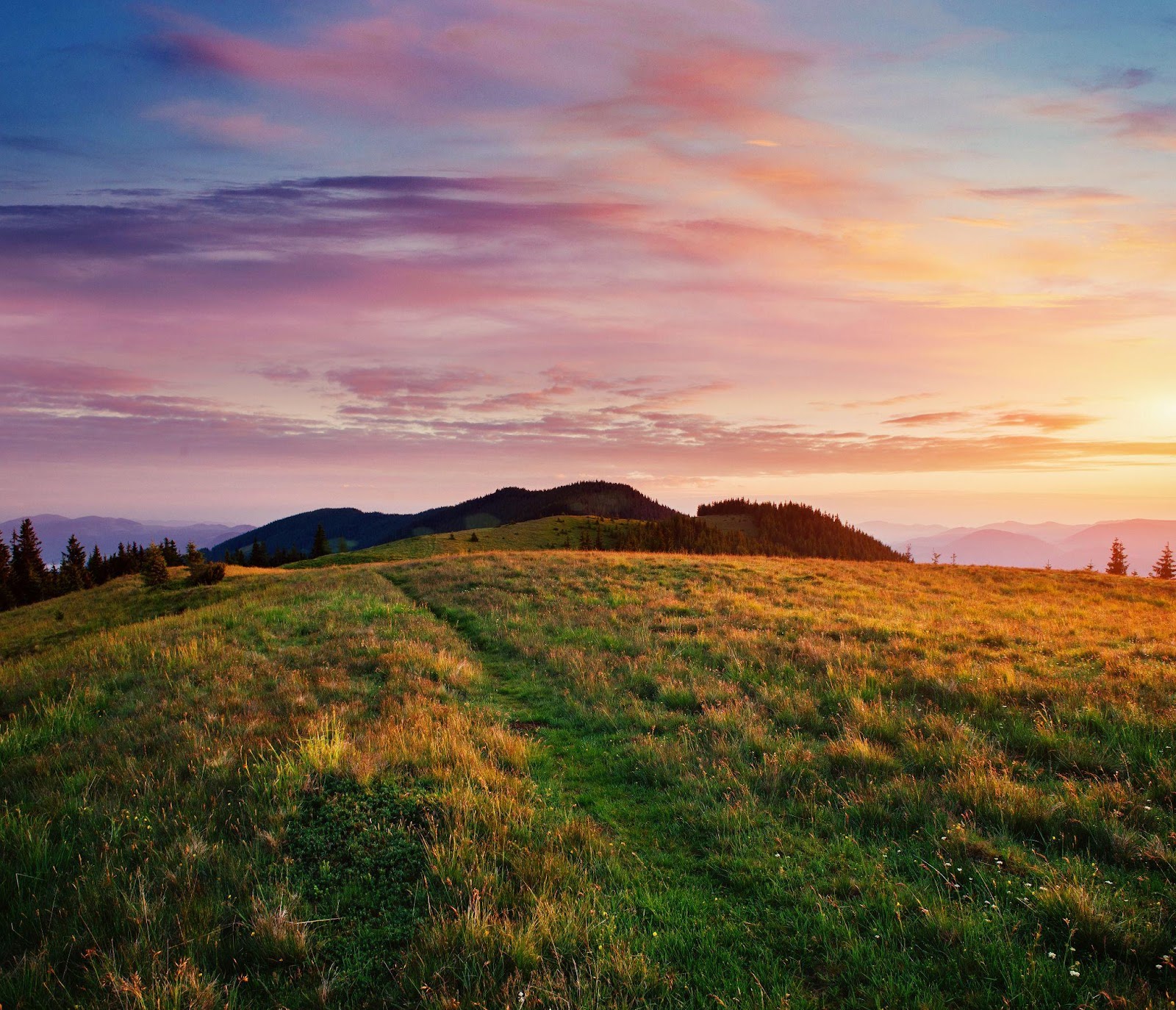 beautiful summer mountain landscape